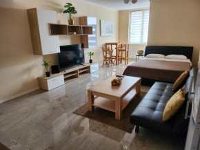 Studio apartman BORLIN